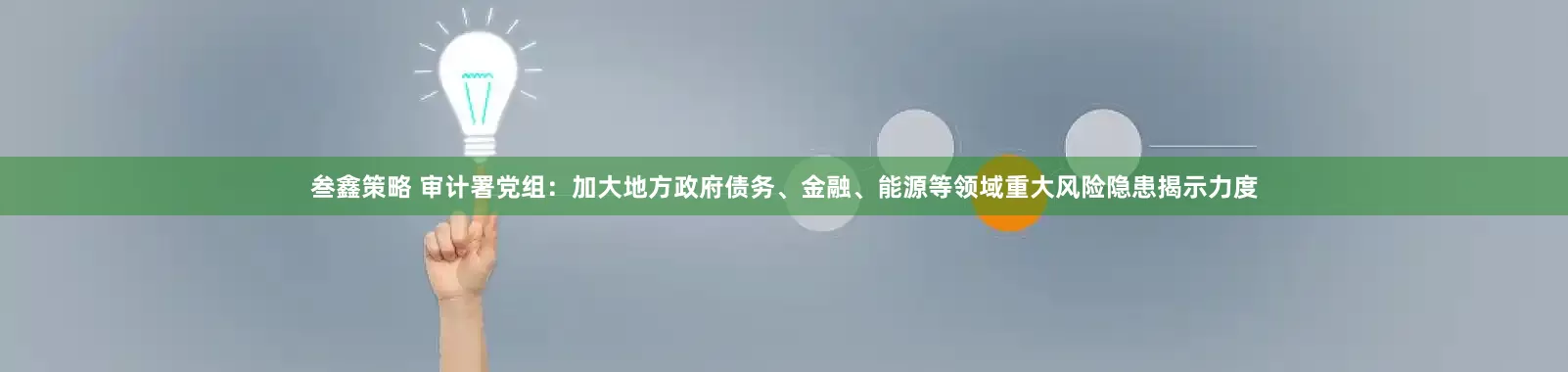 叁鑫策略 审计署党组：加大地方政府债务、金融、能源等领域重大风险隐患揭示力度